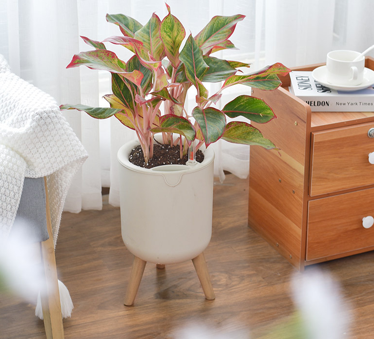 Nordic Indoor  Self Watering Plant Pot