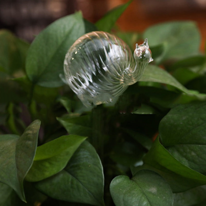 Glass Automatic Self Watering  Decorative