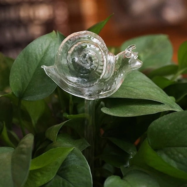 Glass Automatic Self Watering  Decorative