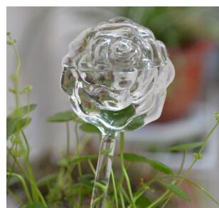 Glass Automatic Self Watering  Decorative